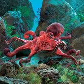 Red Octopus - Folkmanis